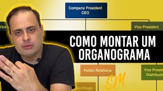 O que é Organograma  Como fazer um Organograma para sua Empresa  Sandrival Matos [upl. by Glovsky751]