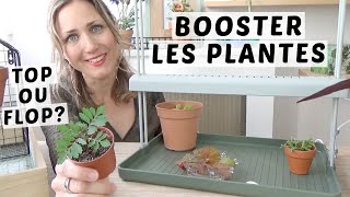 🌿 BOOSTER LES BOUTURES ET SEMIS  MON AVIS SUR LE LIGHT GARDEN DE ELHO 🌱 [upl. by Claman896]