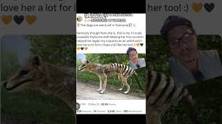 Thylacine photos debunked [upl. by Adlev]