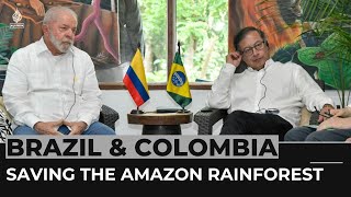 Colombia Brazil leaders vow to protect Amazon rainforest [upl. by Nadya]