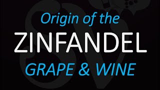 The Origin of Zinfandel  AmericanCalifornia Wine Grape History [upl. by Ashlen]