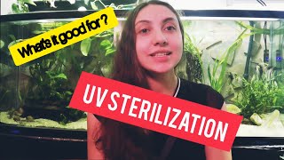 Why use a UV Sterilizer in Aquarium  Whats a UV sterilizer [upl. by Drais]