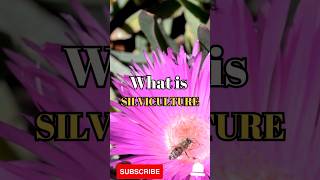 What is silviculture shorts facts biology [upl. by Anauqat]