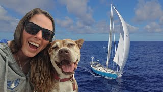 Huge Sailing Adventure Cape Horn to RealTime  Refitting Our Dream Sailboat in Patagonia Ep 144 [upl. by Sadinoel]