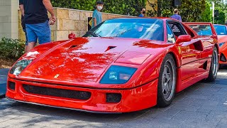 Ferrari F40 in Houston 🔥 [upl. by Ainoloppa508]