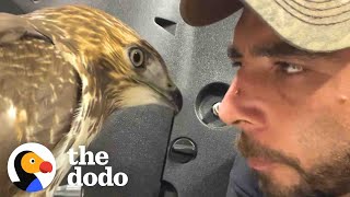 This Guy Keeps Rescuing Wild Animals  The Dodo [upl. by Atteniuq613]