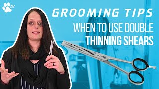 When to use double thinning scissors for dog grooming  Grooming Tips  TRANSGROOM [upl. by Yenrab176]