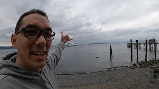 SCUBA Diving for Dungeness Crab Puget Sound 2020 Mukilteo WA [upl. by Onaicilef]