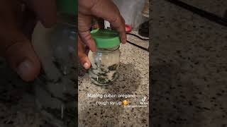 Making cuban oregano cough syrup The full video is on my TikTok peaceplantsandcrystals coughsyrup [upl. by Annaeg]