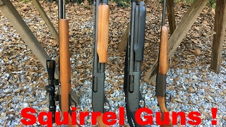 My Squirrel Guns Shotguns and Rifles [upl. by Nnaeiluj884]