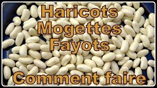 Haricot  Mogette  Flageolet  Fayot Comment faire N°169 [upl. by Madeline]