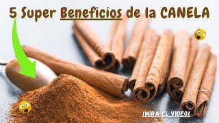 😱Los Sorprendentes BENEFICIOS de la CANELA para la SALUD ✅ Super PROPIEDADES pero NO te EXCEDAS💥 [upl. by Hellah]