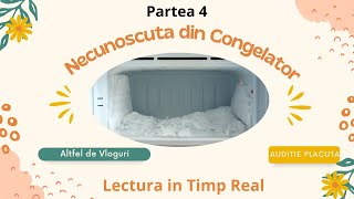 Necunoscuta din congelator Partea 4 Carte audio in romana in timp real  Rodica Ojog Brasoveanu [upl. by Pavla]