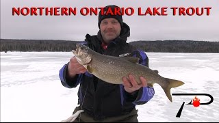 ONTARIO LAKE TROUT Fishing [upl. by Dorothy]