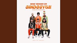 Mine Venner Er Sindssyge [upl. by Fair342]