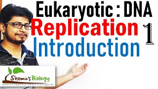 DNA replication in eukaryotes 1  Introduction [upl. by Arlyne]