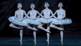 Swan Lake – Dance of the cygnets The Royal Ballet [upl. by Reiner]