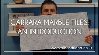 Polished Natural Carrara Marble Tile  An Introduction [upl. by Avera]