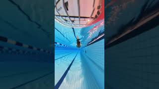 Smooth and efficient freestyle swimming swimming [upl. by Kelbee127]