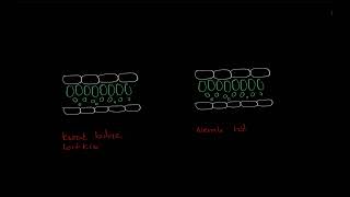 Örtü doku epidermis [upl. by Neved525]