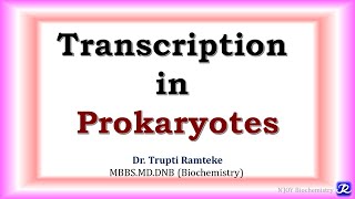 7 Transcription in Prokaryotes  Molecular Biology  Biochemistry  NJOY Biochemistry [upl. by Ambur314]