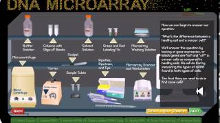 DNA microarray [upl. by Nysila332]