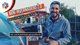 🌱 MINI INVERNADERO con PALETS 20  Riego por INUNDACIÓN  Plantines Inmortales [upl. by Beera]