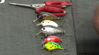 5 Proven Crankbait Colors That Catch Bass [upl. by Tenenbaum109]