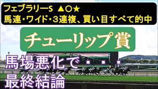 チューリップ賞2024 最終結論 馬場適正と能力の見極め。追い切り診断付き。 [upl. by Burrus296]