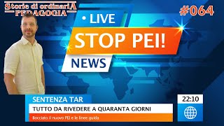 Il TAR boccia il nuovo PEI Storie di Ordinaria Pedagogia 064 [upl. by Yerocal]