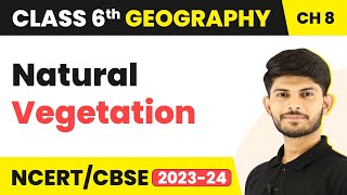 Natural Vegetation  India Climate Vegetation and Wildlife  Class 6 Geography Chapter 8 [upl. by Mcginnis768]