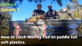 How to catch Murray Cod on paddle tail soft plastics [upl. by Tova]