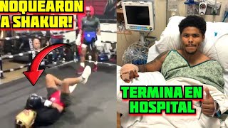 Duro Sparring Shakur stevenson en la Lona y termina en hospit4l se retira y exige a william zepeda [upl. by Ojillek76]