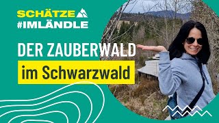 Der Zauberwald im Schwarzwald [upl. by Evadnee]