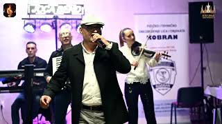 Sasa Ciga Mitrovic  Zajedno do kraja  Festival Akord Ruma oktobar 2023  Produkcija Kruna [upl. by Voss]