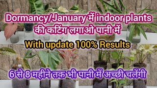 Dormancy PeriodJanuary में कटिंग लगाएं पानी में  How to grow cuttings in water grow indoor plant [upl. by Ainesey]