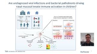 High burden of viruses and bacterial pathobionts drives heightened nasal innate immunity in children [upl. by Sutsugua]