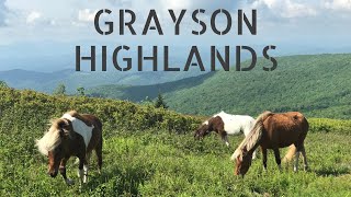 THE BEST OF VIRGINIA  Hiking Grayson Highlands State Park [upl. by Odnolor]