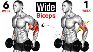 7 BEST Exercises for WIDER BICEPS [upl. by Hairacaz]