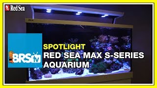 How to setup a complete reef system  Red Sea Max S Aquariums  BRStv Spotlight [upl. by Imik417]