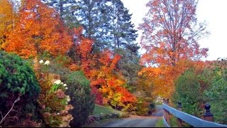 The Laurentians in Autumn SAINTSAUVEUR Quebec Canada [upl. by Tufts33]