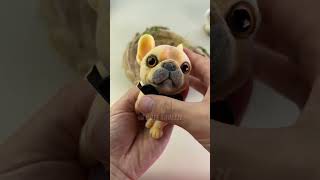 The French bulldog so amazing cute puppy frenchbulldog squishy kawaiiaesthetic satisfying [upl. by Oconnor]