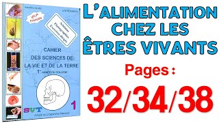 Azzedine Alami SVT 1APIC  Pages 323438 🦷 L’alimentation chez les êtres vivants [upl. by Nagiem]