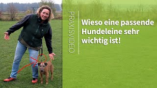 Hundeleine ➡️ Wieso eine passende Hundeleine sehr wichtig ist ➡️ Praxisvideo ✔️ [upl. by Mylan252]