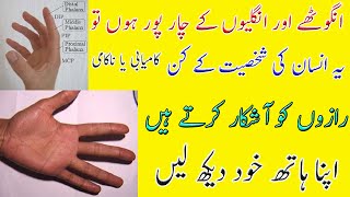 Four Phalanges on each Finger  Four Phalanges On Thumb  Meanings  Palmistry  Snn Tv Pakistan [upl. by Ayotan311]