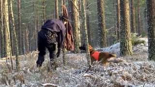 Polisens vardag  Fredrik hundförare i Karlstad [upl. by Feodor189]