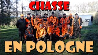 CHASSE EN POLOGNE 2015 [upl. by Hinda742]