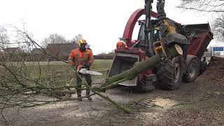 BOOM KAPPEN EN VERSNIPPEREN MET EEN VALTRA T 234 EN EEN VLTRA VALMET 805 C [upl. by Skurnik332]