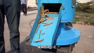 Introduction to Small Pellet Machines small pellet mill [upl. by Affay]