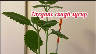 Oregano cough syrup [upl. by Eidolem89]